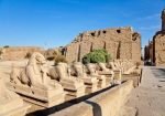 Cairo ,Luxor and Sharm ElShekh - Image 3