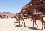 Quad Bike Safari, Bedouin Village - Image 3